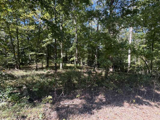 000 COUNTY ROAD 176, ATHENS, TN 37303, photo 5 of 7