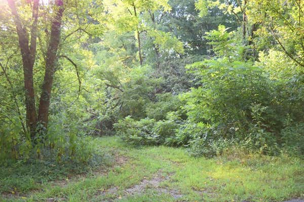 2AC COUNTY ROAD 2, RICEVILLE, TN 37370, photo 3 of 37