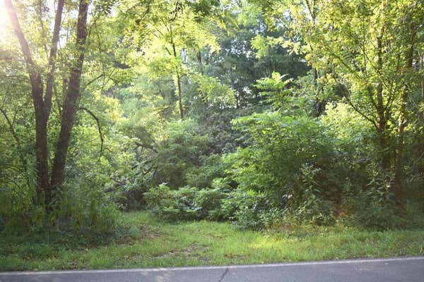 2AC COUNTY ROAD 2, RICEVILLE, TN 37370, photo 2 of 37