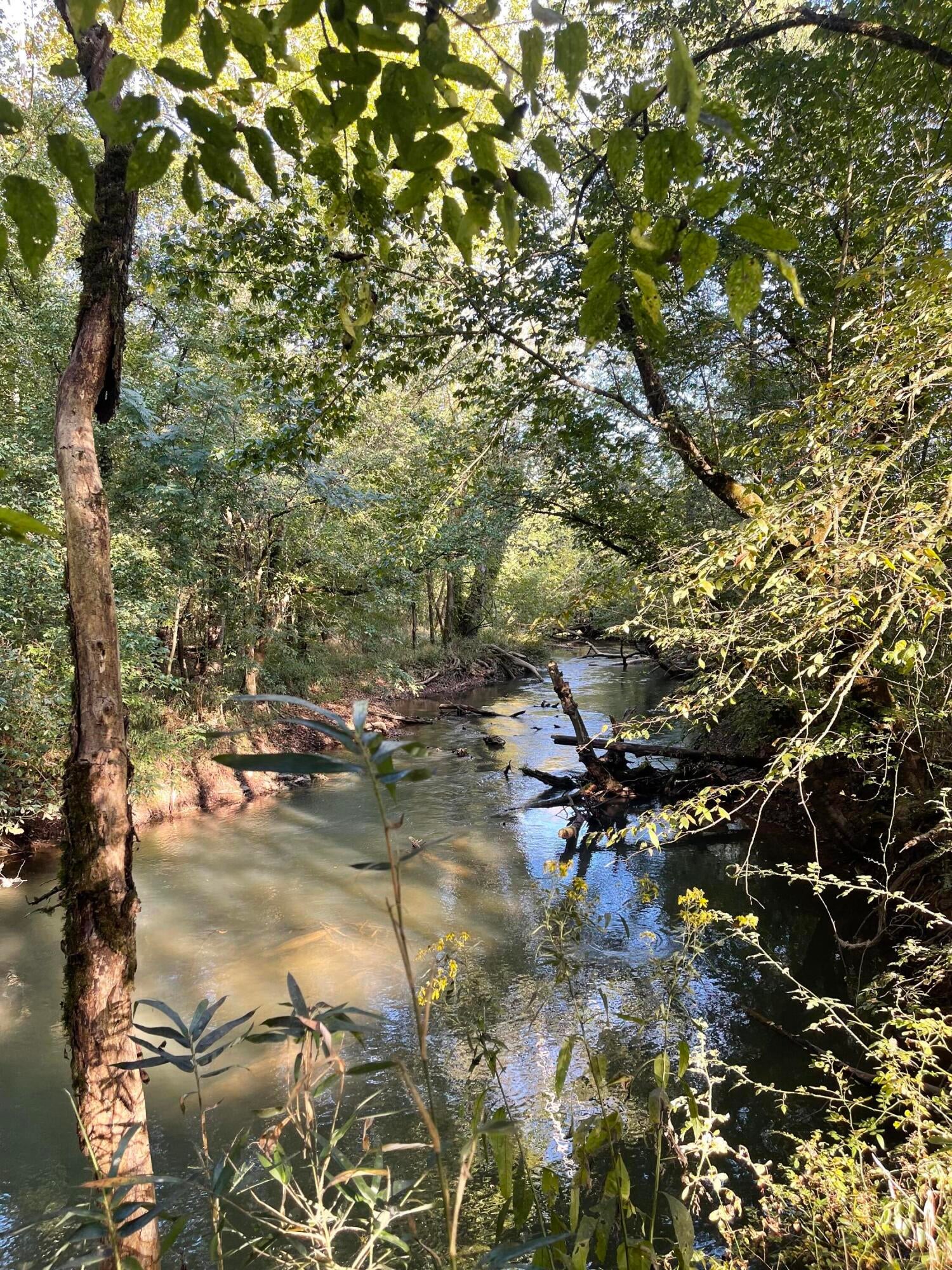 Calhoun, Tennessee, 37309, United States, 4 Bedrooms Bedrooms, ,3 BathroomsBathrooms,Residential,Active,1742062