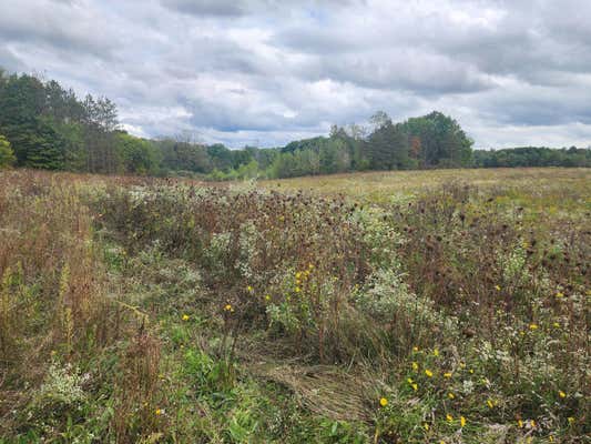 LOTS B AND C LASHBROOK VACANT LAND ROAD, GOODELLS, MI 48027 - Image 1