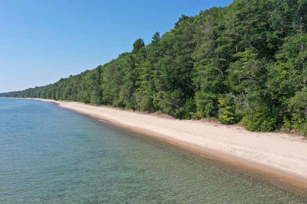 1409 BLACK ROCK BEACH DR, HARRISVILLE, MI 48740 - Image 1