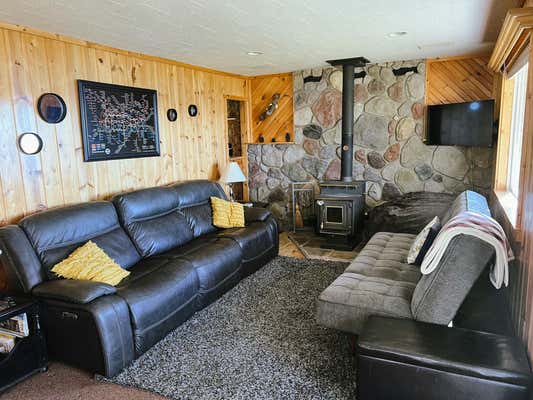 22741 S CHRISDALE DR, TROUT LAKE, MI 49793 - Image 1