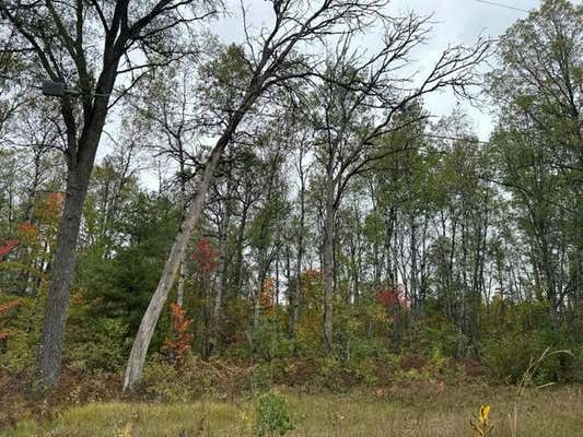 10 ACRES W 6 MILE RD, GRAYLING, MI 48738, photo 3 of 7