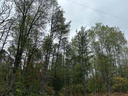 10 ACRES W 6 MILE RD, GRAYLING, MI 48738, photo 4 of 7