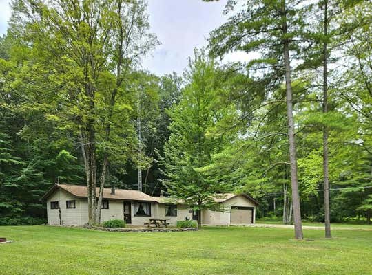 3951 MARY ANNE LN, CASEVILLE, MI 48725 - Image 1