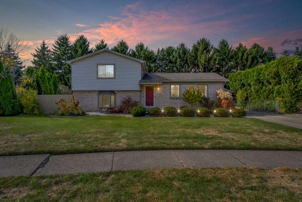 40719 RAY DR, CLINTON TOWNSHIP, MI 48038 - Image 1