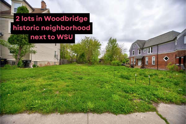 1751 W WARREN AVE, DETROIT, MI 48208 - Image 1