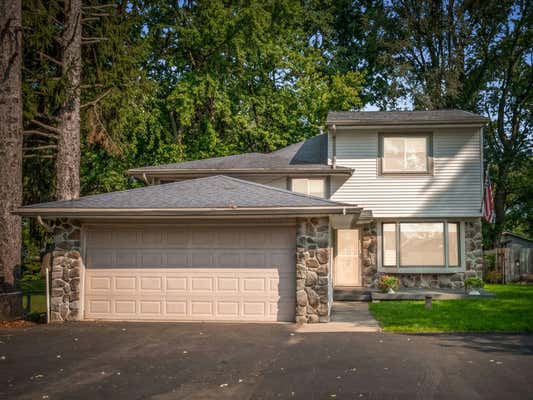 294 ORIOLE ST, COMMERCE TWP, MI 48382 - Image 1