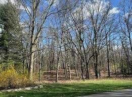 000 LOT 71 PINE BLUFFS CT DRIVE, HIGHLAND, MI 48357 - Image 1