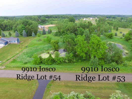 9810 IOSCO RIDGE DR, GREGORY, MI 48137 - Image 1