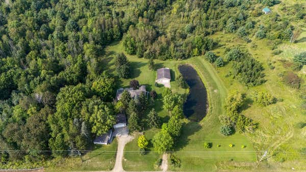 2316 SUGAR RIVER RD, GLADWIN, MI 48624 - Image 1