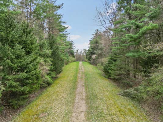 11.01 ACRES VACANT LAND KNIGHTS BRIDGE ROAD, LEONARD, MI 48367 - Image 1