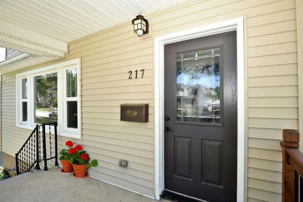 217 W HOUSTONIA AVE, ROYAL OAK, MI 48073 - Image 1