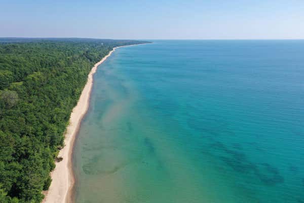 1619 BLACK ROCK BEACH DR, HARRISVILLE, MI 48740 - Image 1