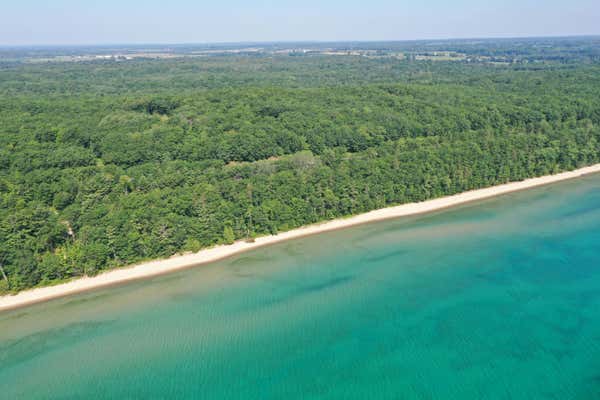 1619 BLACK ROCK BEACH DR, HARRISVILLE, MI 48740 - Image 1