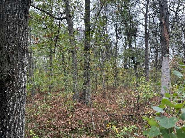 10 ACRES W 6 MILE RD, GRAYLING, MI 48738, photo 1 of 7