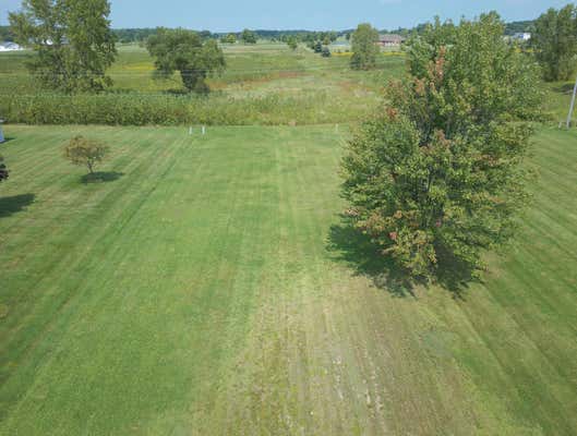 000000 IMLAY CITY ROAD, CAPAC, MI 48014 - Image 1