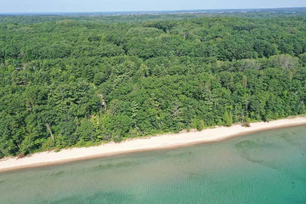 1329 BLACK ROCK BEACH DR, HARRISVILLE, MI 48740 - Image 1