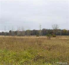 VACANT SHERWOOD ROAD, FOWLERVILLE, MI 48836 - Image 1