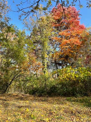 000 DEQUINDRE, OAKLAND, MI 48363, photo 4 of 14