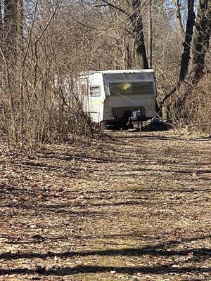 VACANT STOWELL ROAD, DUNDEE, MI 48131 - Image 1