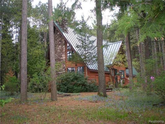 13317 WASHBURN RD, OTTER LAKE, MI 48464 - Image 1