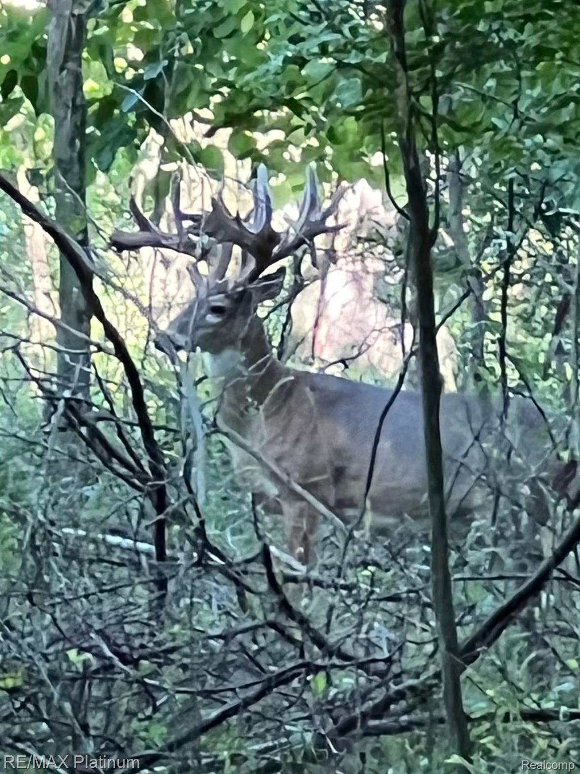 Howell, Michigan, 48843, United States, 5 Bedrooms Bedrooms, ,6 BathroomsBathrooms,Residential,Active,1714075