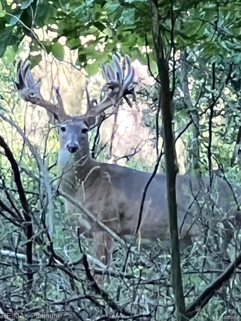 Howell, Michigan, 48843, United States, 5 Bedrooms Bedrooms, ,6 BathroomsBathrooms,Residential,Active,1714075