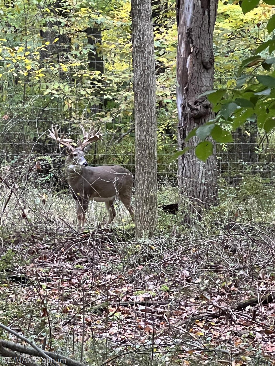 Howell, Michigan, 48843, United States, 5 Bedrooms Bedrooms, ,6 BathroomsBathrooms,Residential,Active,1714075