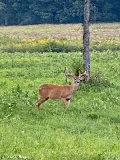 Howell, Michigan, 48843, United States, 5 Bedrooms Bedrooms, ,6 BathroomsBathrooms,Residential,Active,1714075
