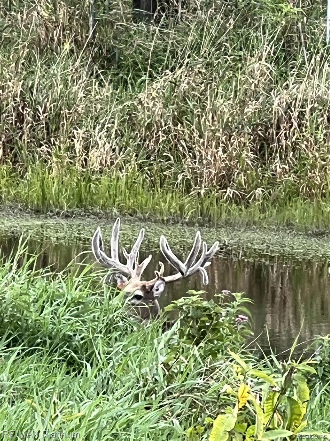 Howell, Michigan, 48843, United States, 5 Bedrooms Bedrooms, ,6 BathroomsBathrooms,Residential,Active,1714075
