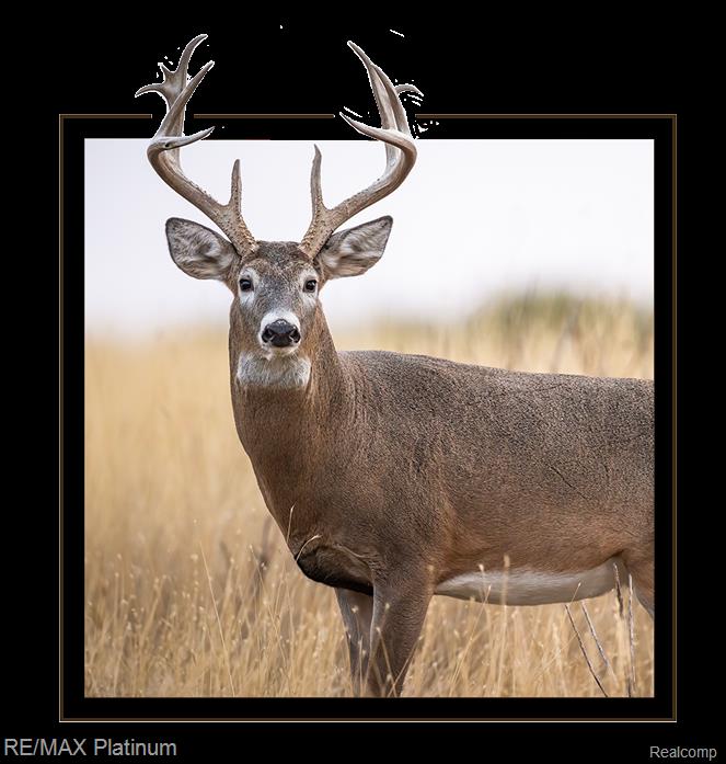 Howell, Michigan, 48843, United States, 5 Bedrooms Bedrooms, ,6 BathroomsBathrooms,Residential,Active,1714075