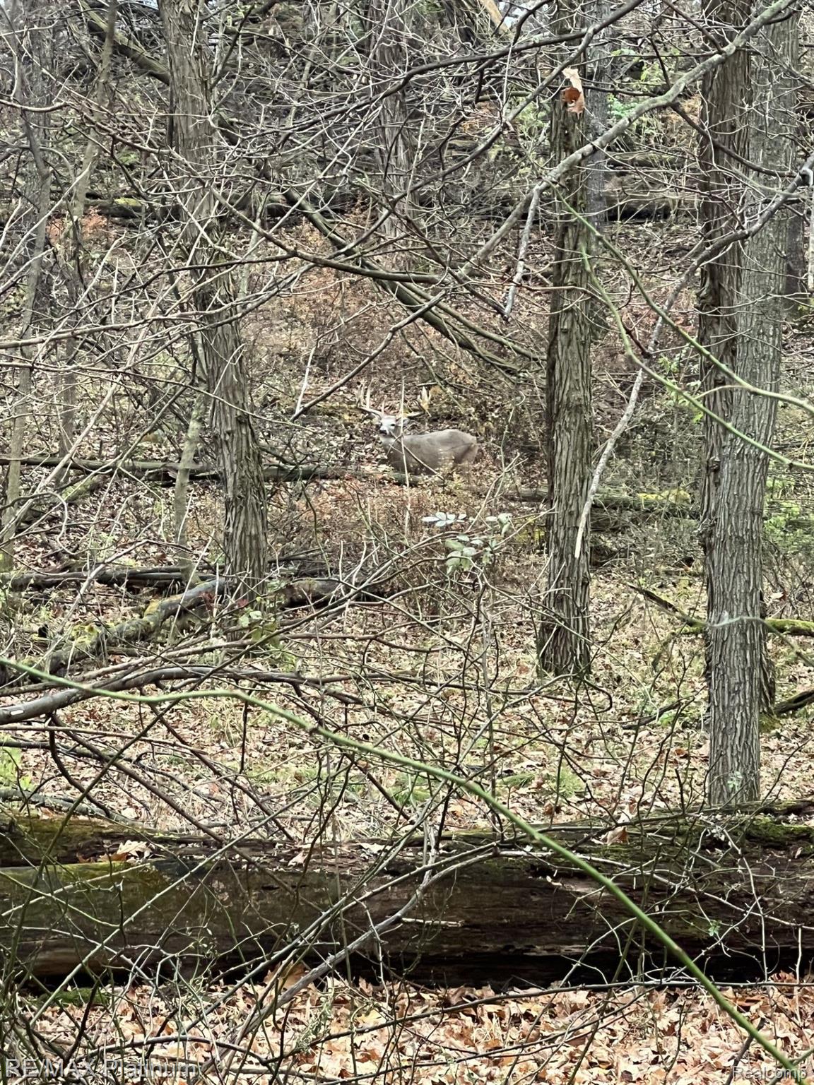 Howell, Michigan, 48843, United States, 5 Bedrooms Bedrooms, ,6 BathroomsBathrooms,Residential,Active,1714075