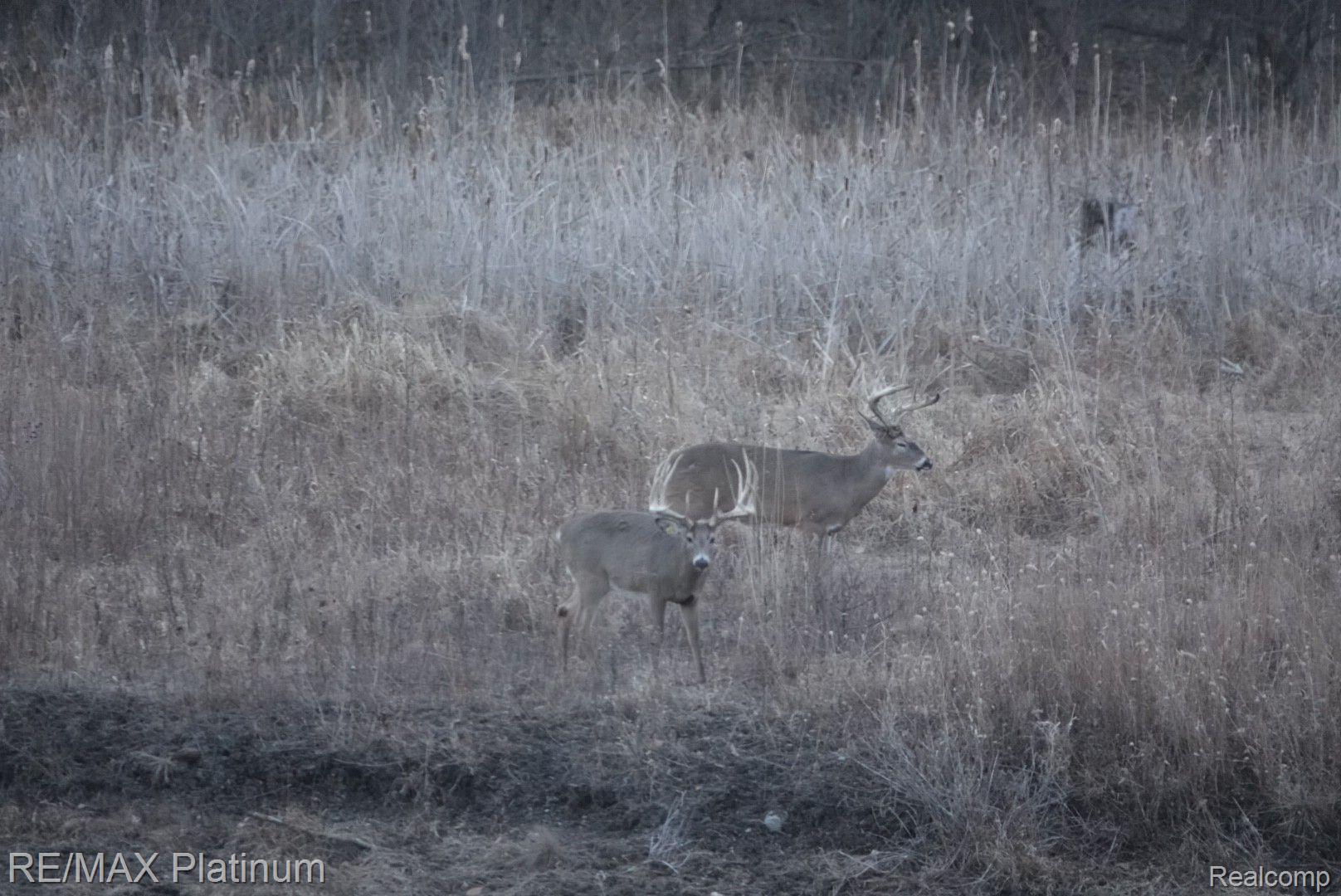 Howell, Michigan, 48843, United States, 5 Bedrooms Bedrooms, ,6 BathroomsBathrooms,Residential,Active,1714075