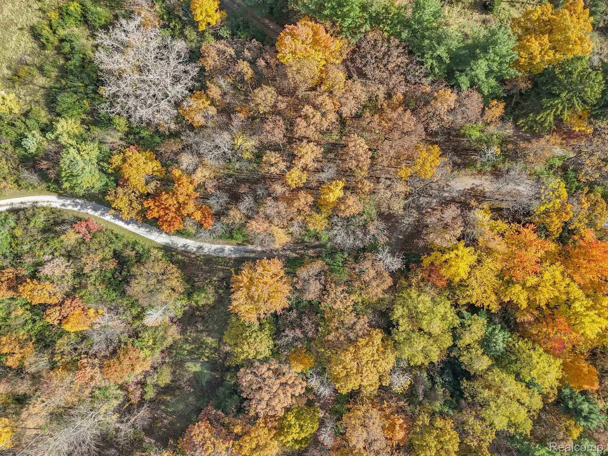 Annarbor, Michigan, 48105, United States, 5 Bedrooms Bedrooms, ,5 BathroomsBathrooms,Residential,Active,1899239
