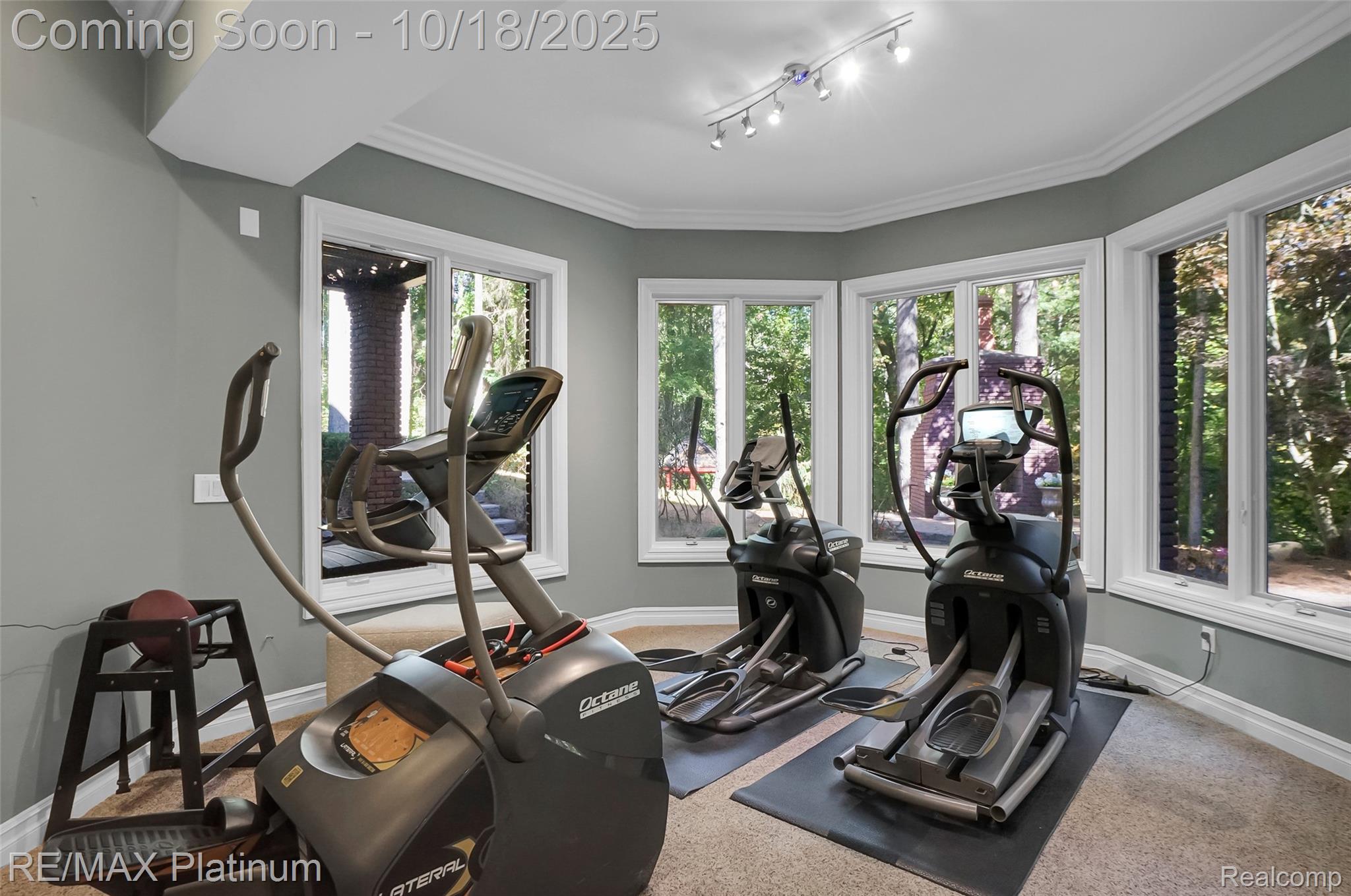 Brighton, Michigan, 48116, United States, 6 Bedrooms Bedrooms, ,7 BathroomsBathrooms,Residential,Active,1965994