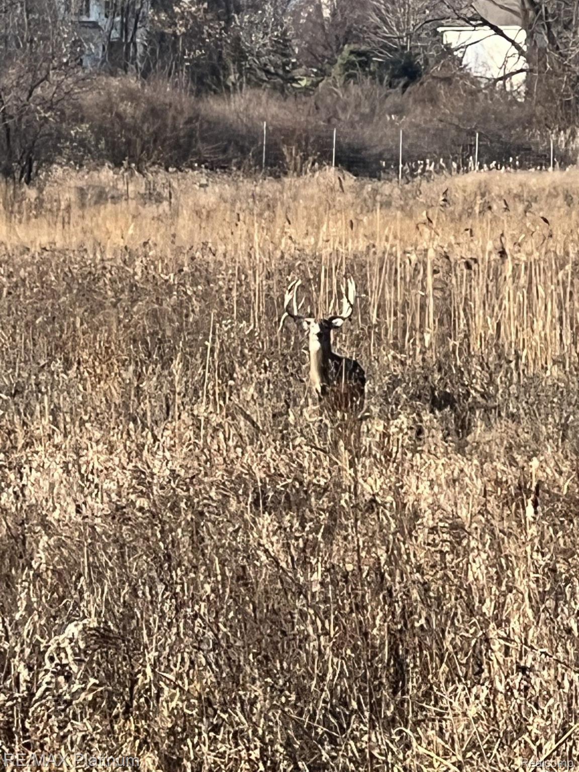 Howell, Michigan, 48843, United States, 5 Bedrooms Bedrooms, ,6 BathroomsBathrooms,Residential,Active,1714075