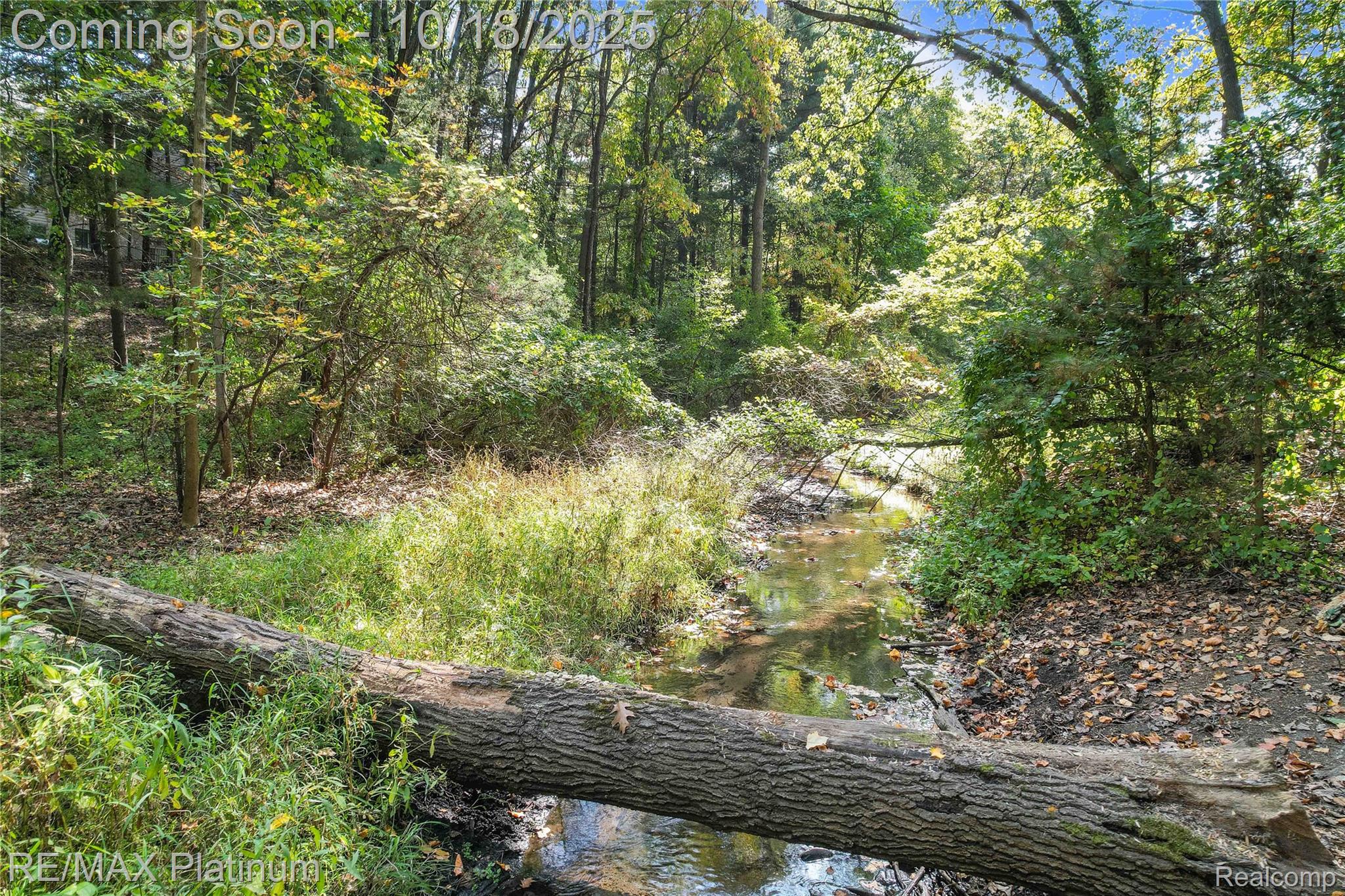 Brighton, Michigan, 48116, United States, 6 Bedrooms Bedrooms, ,7 BathroomsBathrooms,Residential,Active,1965994