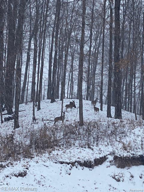 Howell, Michigan, 48843, United States, 5 Bedrooms Bedrooms, ,6 BathroomsBathrooms,Residential,Active,1714075