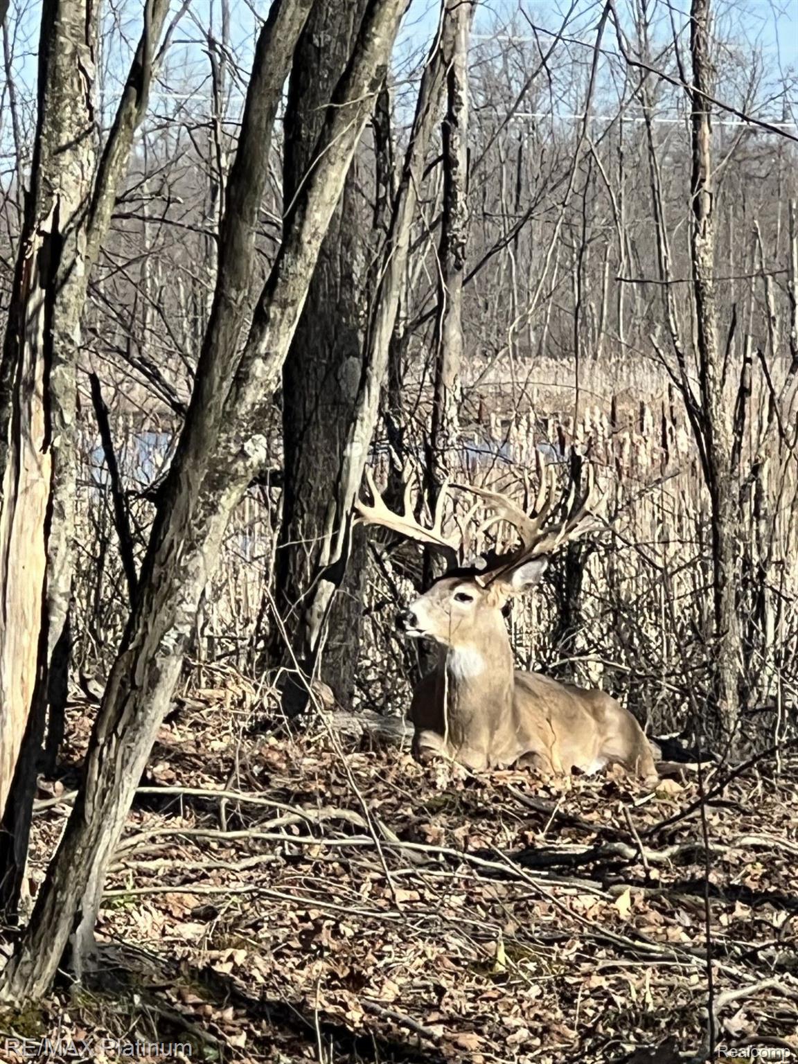 Howell, Michigan, 48843, United States, 5 Bedrooms Bedrooms, ,6 BathroomsBathrooms,Residential,Active,1714075