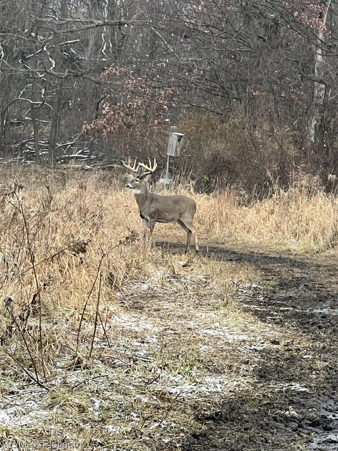 Howell, Michigan, 48843, United States, 5 Bedrooms Bedrooms, ,6 BathroomsBathrooms,Residential,Active,1714075