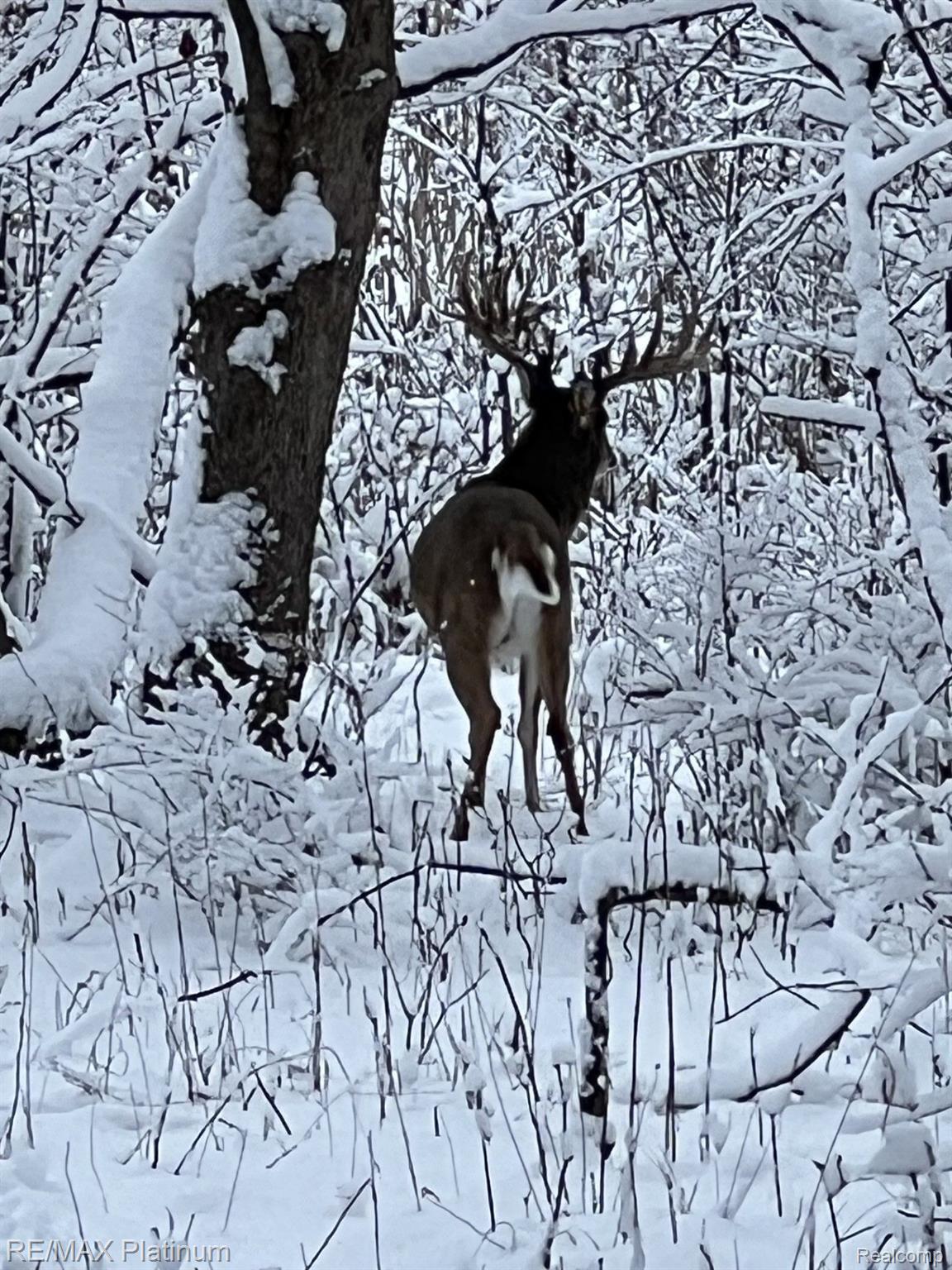 Howell, Michigan, 48843, United States, 5 Bedrooms Bedrooms, ,6 BathroomsBathrooms,Residential,Active,1714075