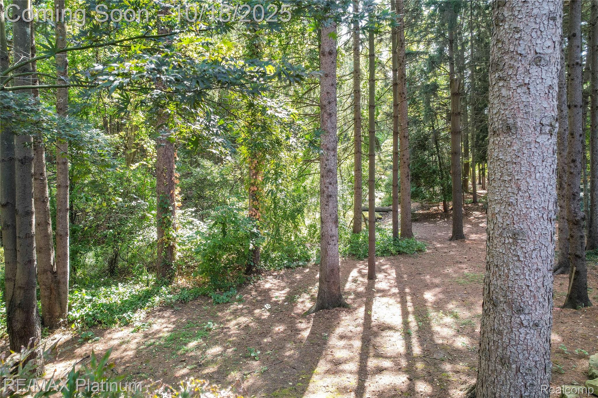 Brighton, Michigan, 48116, United States, 6 Bedrooms Bedrooms, ,7 BathroomsBathrooms,Residential,Active,1965994