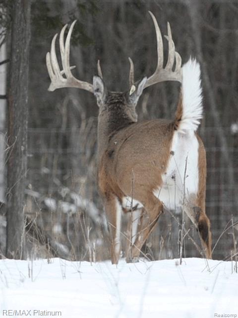 Howell, Michigan, 48843, United States, 5 Bedrooms Bedrooms, ,6 BathroomsBathrooms,Residential,Active,1714075