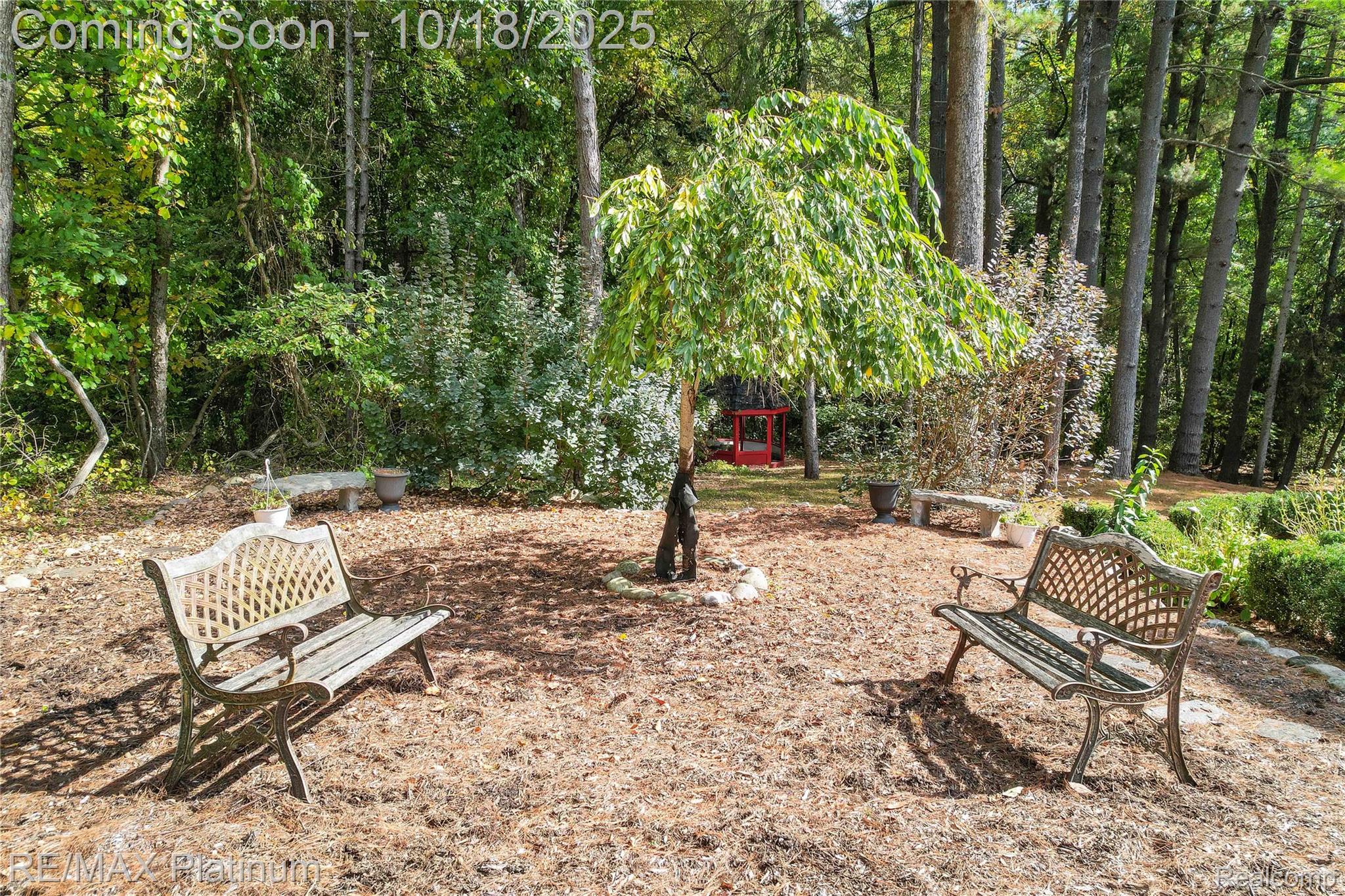 Brighton, Michigan, 48116, United States, 6 Bedrooms Bedrooms, ,7 BathroomsBathrooms,Residential,Active,1965994