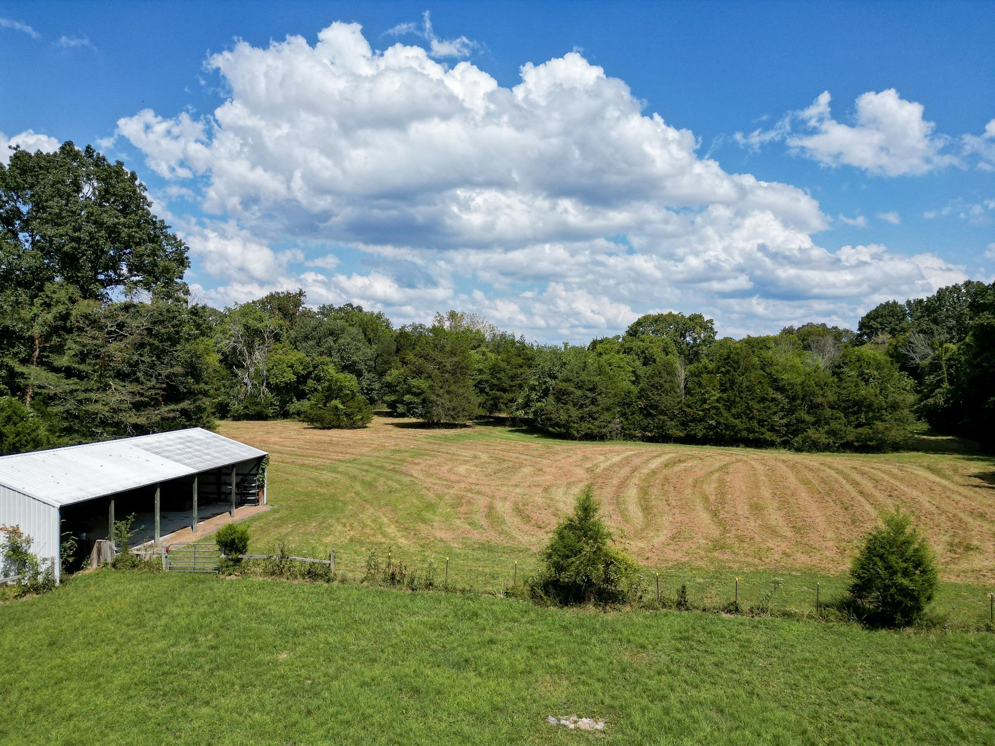 Columbia, Tennessee, 38401, United States, 3 Bedrooms Bedrooms, ,3 BathroomsBathrooms,Residential,Active,1936631