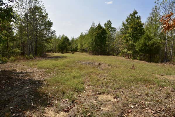 0 FIRE TOWER RD, ERIN, TN 37061 - Image 1