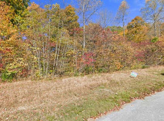 0 TANZANITE TRAIL, TAZEWELL, TN 37879 - Image 1