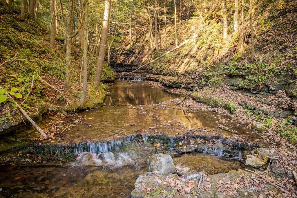 Smithville, Tennessee, 37166, United States, ,7 BathroomsBathrooms,Residential,Active,1769789